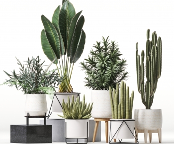 Modern Ground Green Plant Potted Plants-ID:432722099