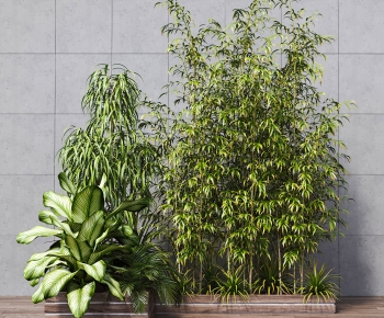 Modern Plant Pile-ID:655299902