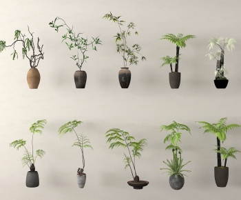 Modern Ground Green Plant Potted Plants-ID:943192968