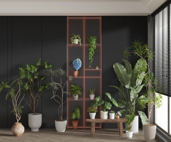 Modern Potted Green Plant-ID:439552072