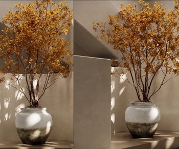 Wabi-sabi Style Ground Green Plant Potted Plants-ID:556363115