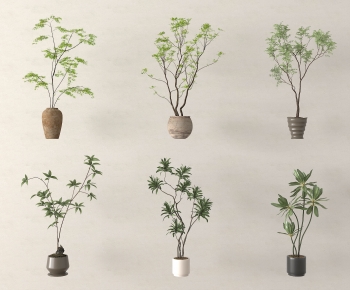 Modern Ground Green Plant Potted Plants-ID:413539441