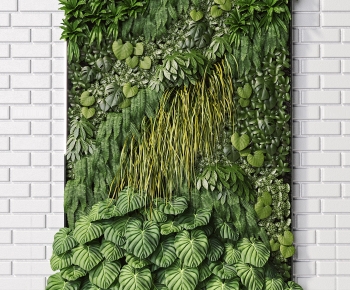 Modern Plant Wall-ID:699347026