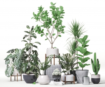Modern Ground Green Plant Potted Plants-ID:824573995