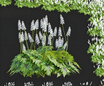 Modern Flowers And Grass-ID:517555954