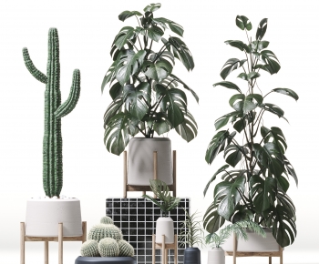 Modern Ground Green Plant Potted Plants-ID:566540969