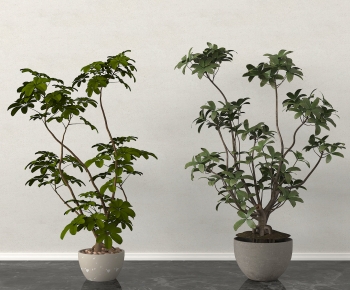 Modern Ground Green Plant Potted Plants-ID:777724983