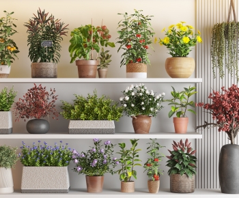 Modern Potted Green Plant-ID:949773074