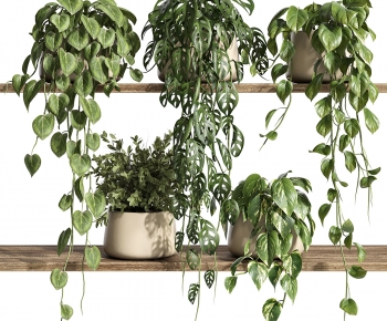 Modern Potted Green Plant-ID:529006961