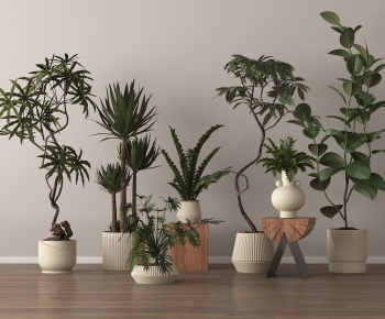 Modern Ground Green Plant Potted Plants-ID:810498004