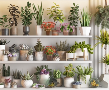 Modern Desktop Plant-ID:457415109