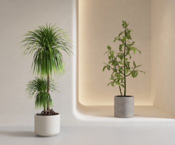 Modern Ground Green Plant Potted Plants-ID:144987115