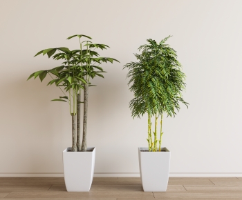 Modern Ground Green Plant Potted Plants-ID:197783951