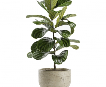 Modern Ground Green Plant Potted Plants-ID:691006904