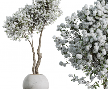 Modern Ground Green Plant Potted Plants-ID:336089142