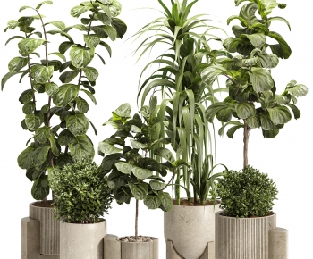 Modern Ground Green Plant Potted Plants-ID:981484895