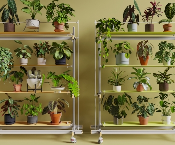 Modern Ground Green Plant Potted Plants-ID:818742996