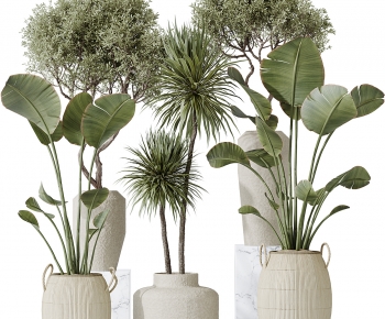 Modern Ground Green Plant Potted Plants-ID:743668085