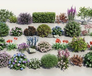 Modern Shrubbery-ID:835383898