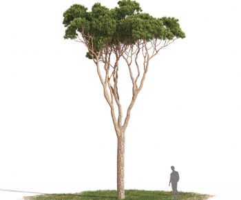 Modern Tree-ID:471669916