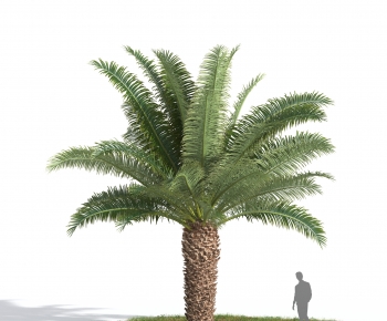 Modern Tree-ID:126293907