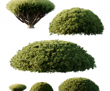 Modern Shrubbery-ID:213948013