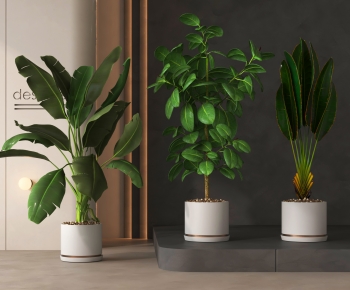 Modern Ground Green Plant Potted Plants-ID:192845113