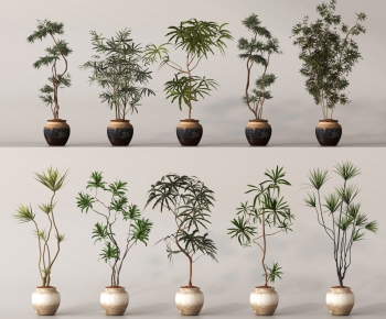 Modern Ground Green Plant Potted Plants-ID:388370049