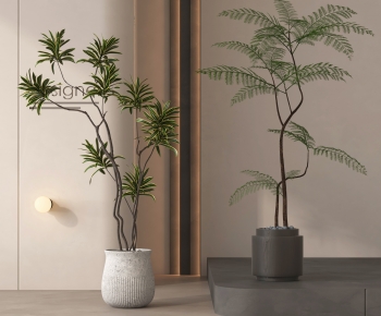 Modern Ground Green Plant Potted Plants-ID:901336918