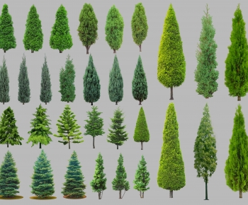 Modern Tree-ID:309619949