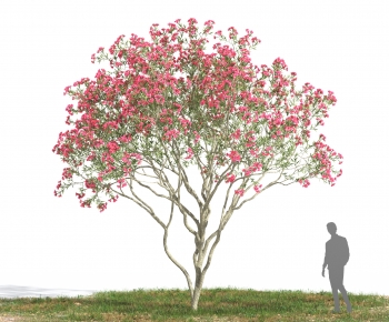 Modern Tree-ID:618299015