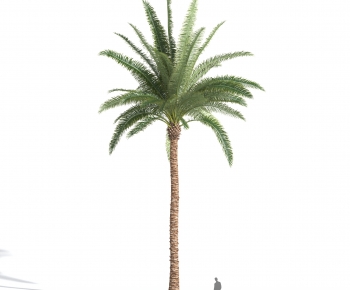 Modern Tree-ID:349797967