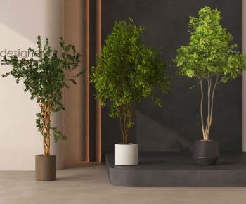 Modern Ground Green Plant Potted Plants-ID:390681985