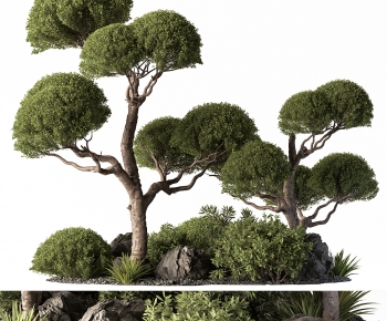 Modern Plant Pile-ID:975375891