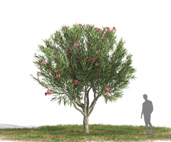 Modern Tree-ID:232341052