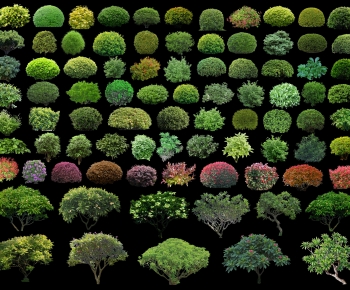 Modern Shrubbery-ID:462541102