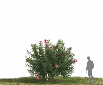 Modern Tree-ID:603431942