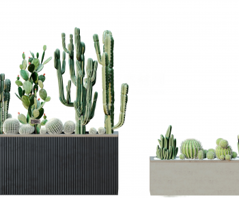 Modern Flower Bed, Flower Bowl, Flower Box-ID:522896054