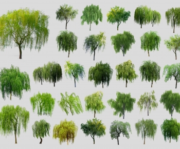 Modern Tree-ID:764360904