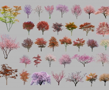 Modern Tree-ID:817152025