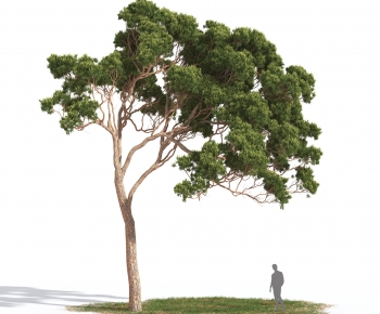 Modern Tree-ID:875169998