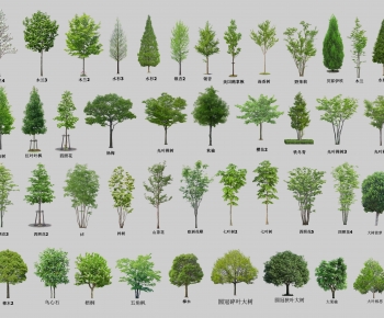 Modern Tree-ID:595516924