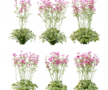 Modern Flowers And Grass-ID:219221173
