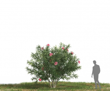 Modern Tree-ID:929708969