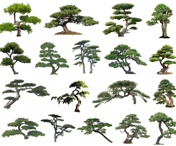 Chinese Style Tree-ID:649553063