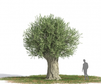 Modern Tree-ID:877782117