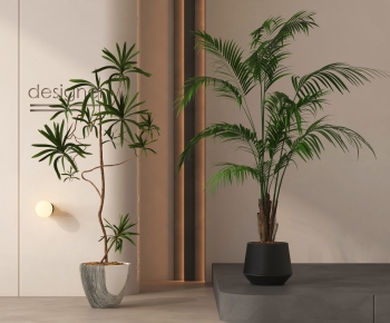 Modern Ground Green Plant Potted Plants-ID:124358892