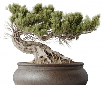 New Chinese Style Bonsai-ID:949038037