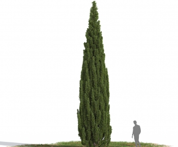 Modern Tree-ID:801217084