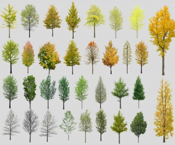 Modern Tree-ID:782167917